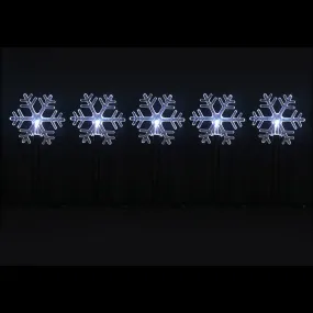 5pk Solar White Path Flakes Asst (35cm)