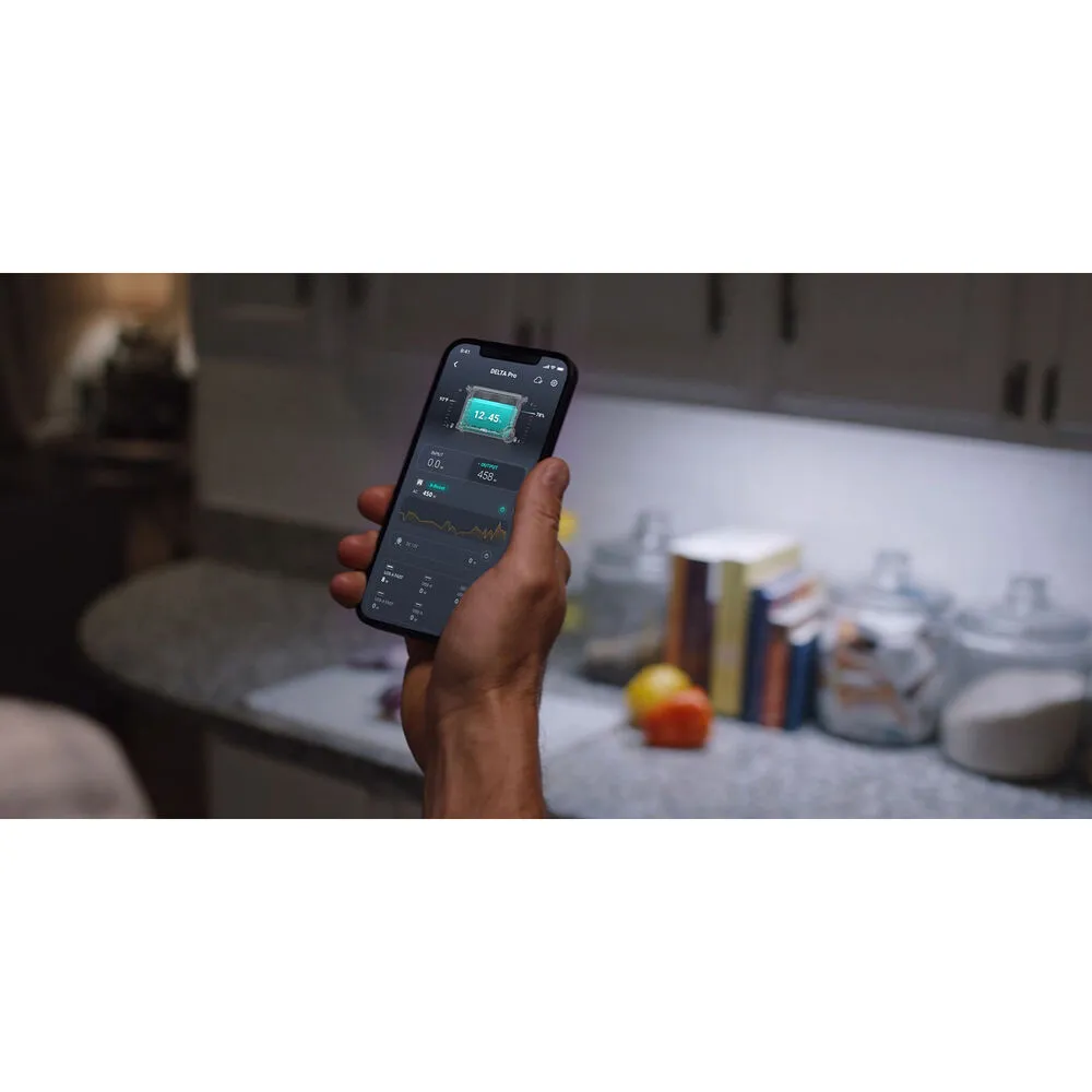 Aputure EcoFlow DELTA Pro Portable Power Station