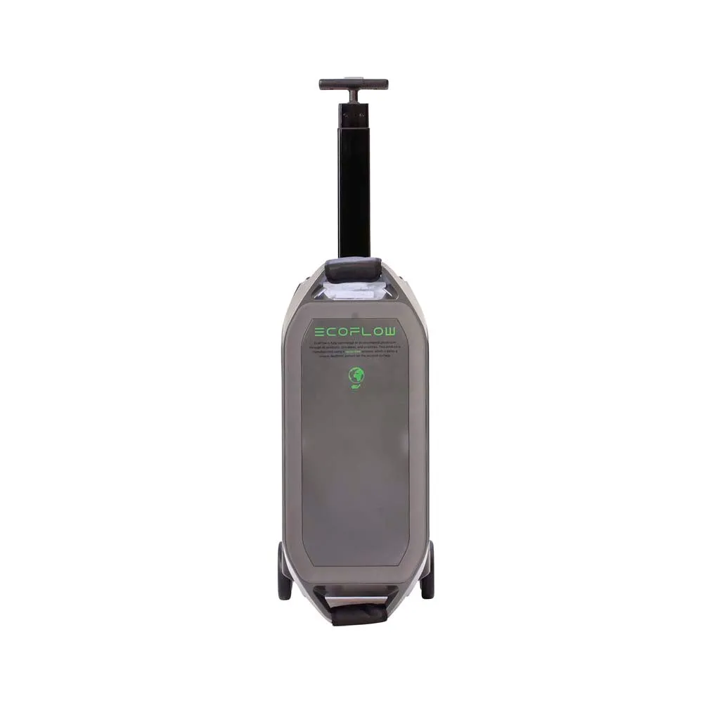 Aputure EcoFlow DELTA Pro Portable Power Station