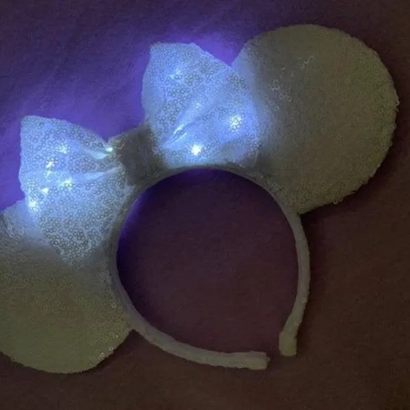 Leader of the pack mouse ears