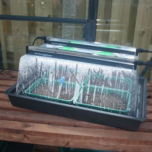 Monotop Propagator