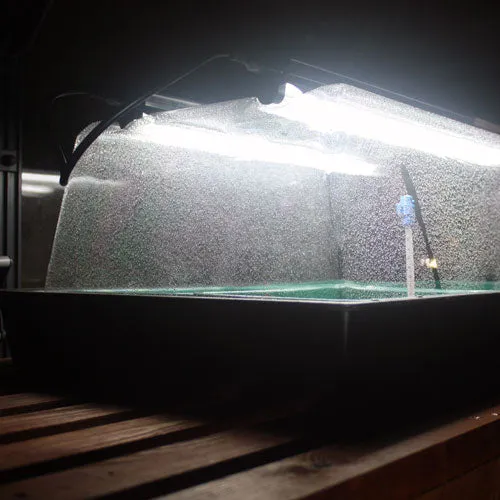 Monotop Propagator