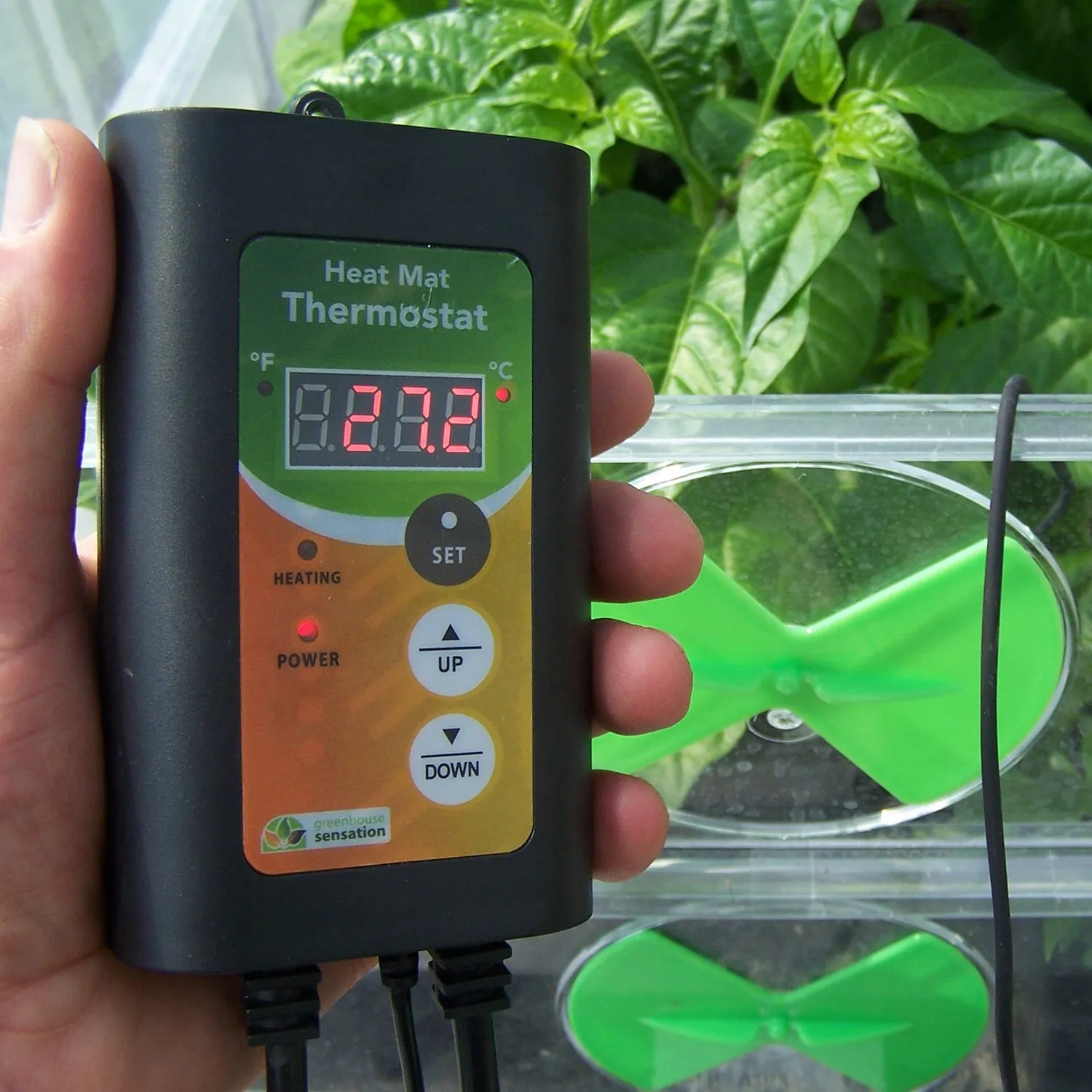 Monotop Propagator