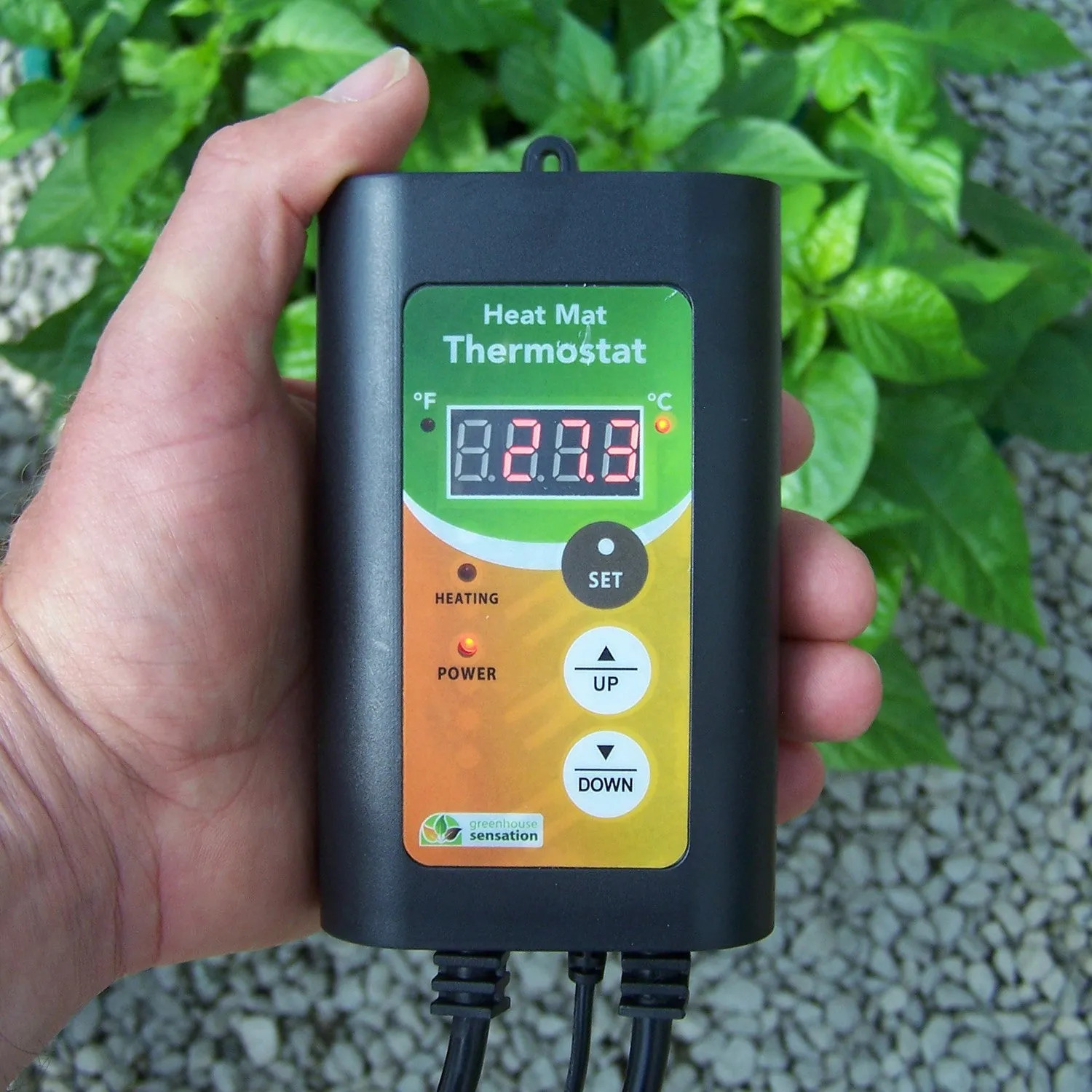 Monotop Propagator