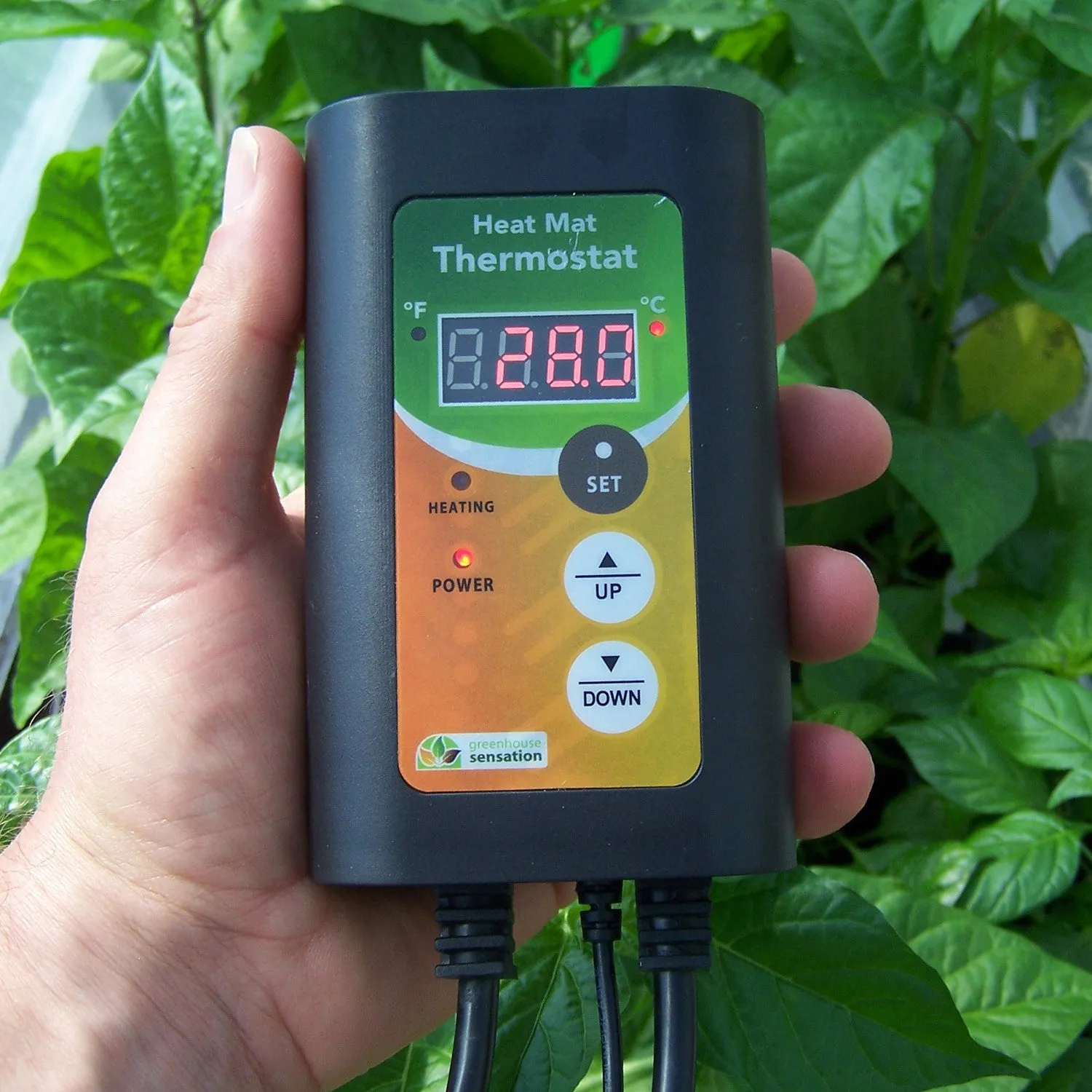 Monotop Propagator