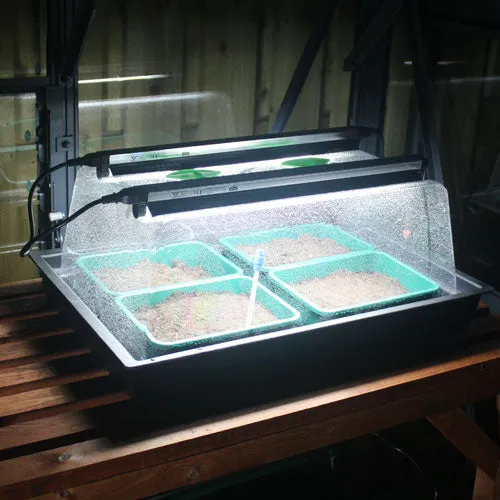 Monotop Propagator