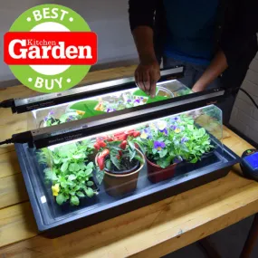 Monotop Propagator