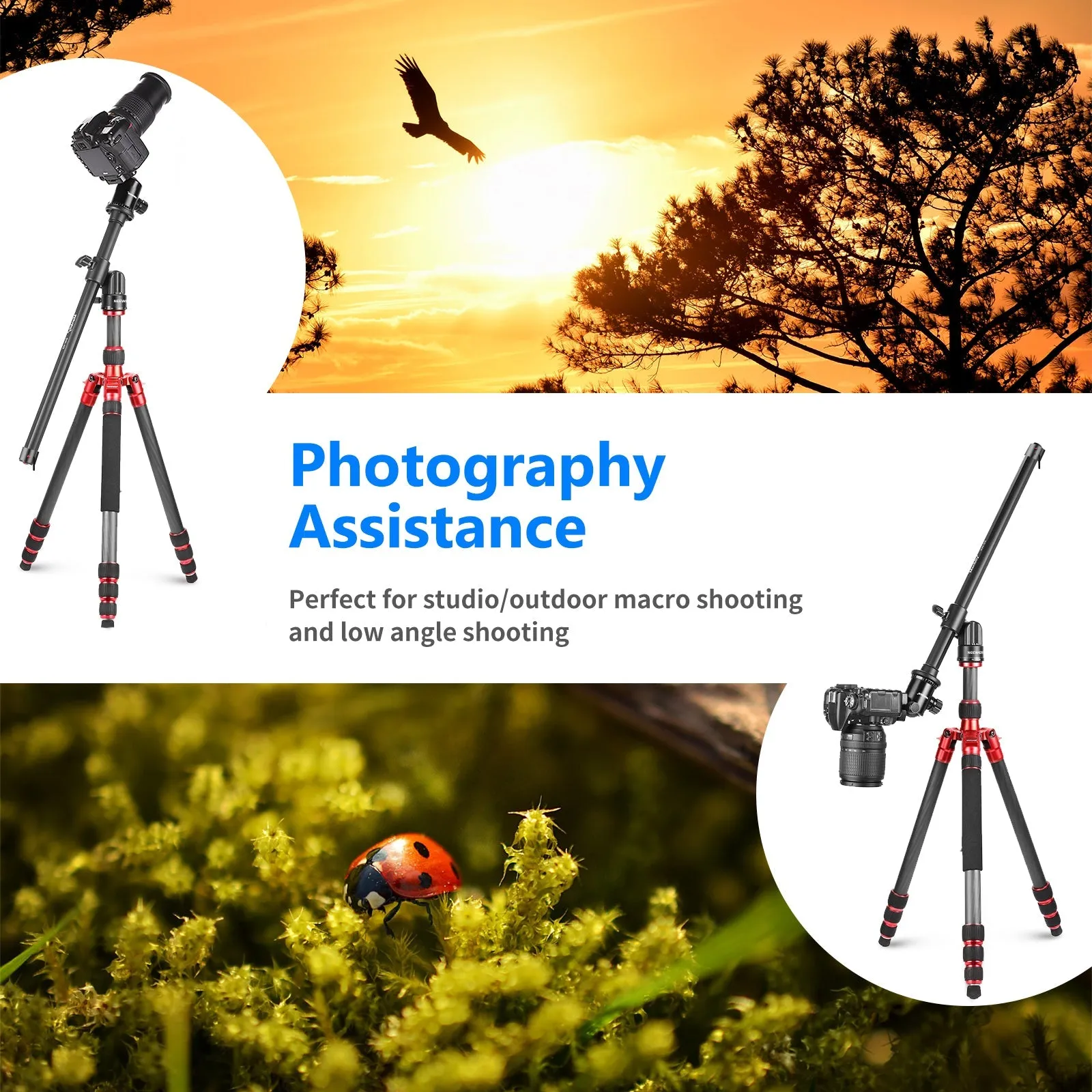 NEEWER 19.7" Tripod Extension Boom Arm