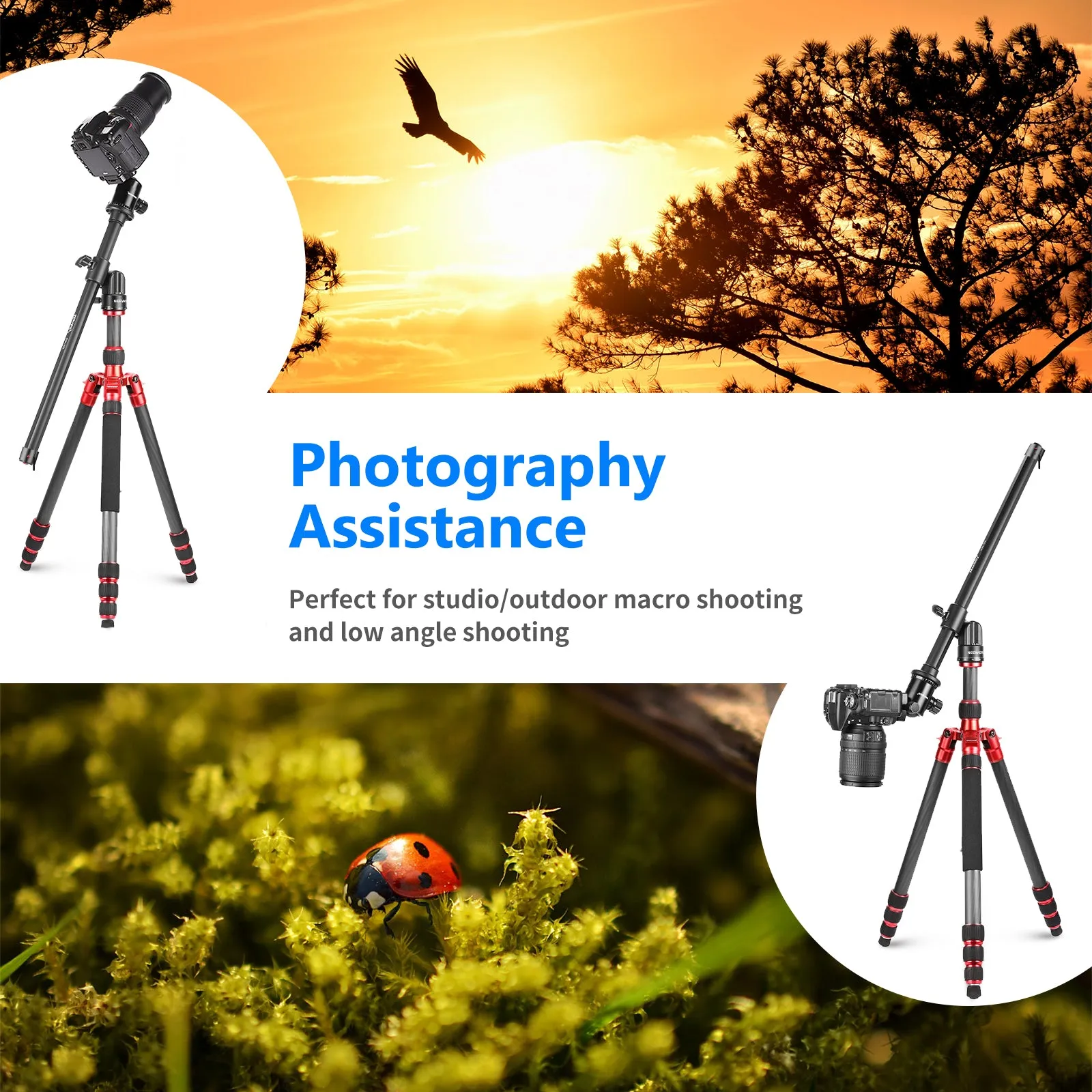 NEEWER 19.7" Tripod Extension Boom Arm