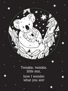 Shadow Book: Twinkle Twinkle Little Star