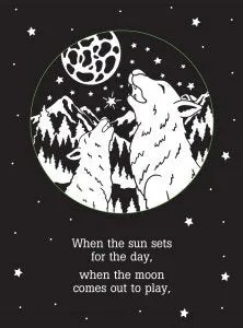 Shadow Book: Twinkle Twinkle Little Star