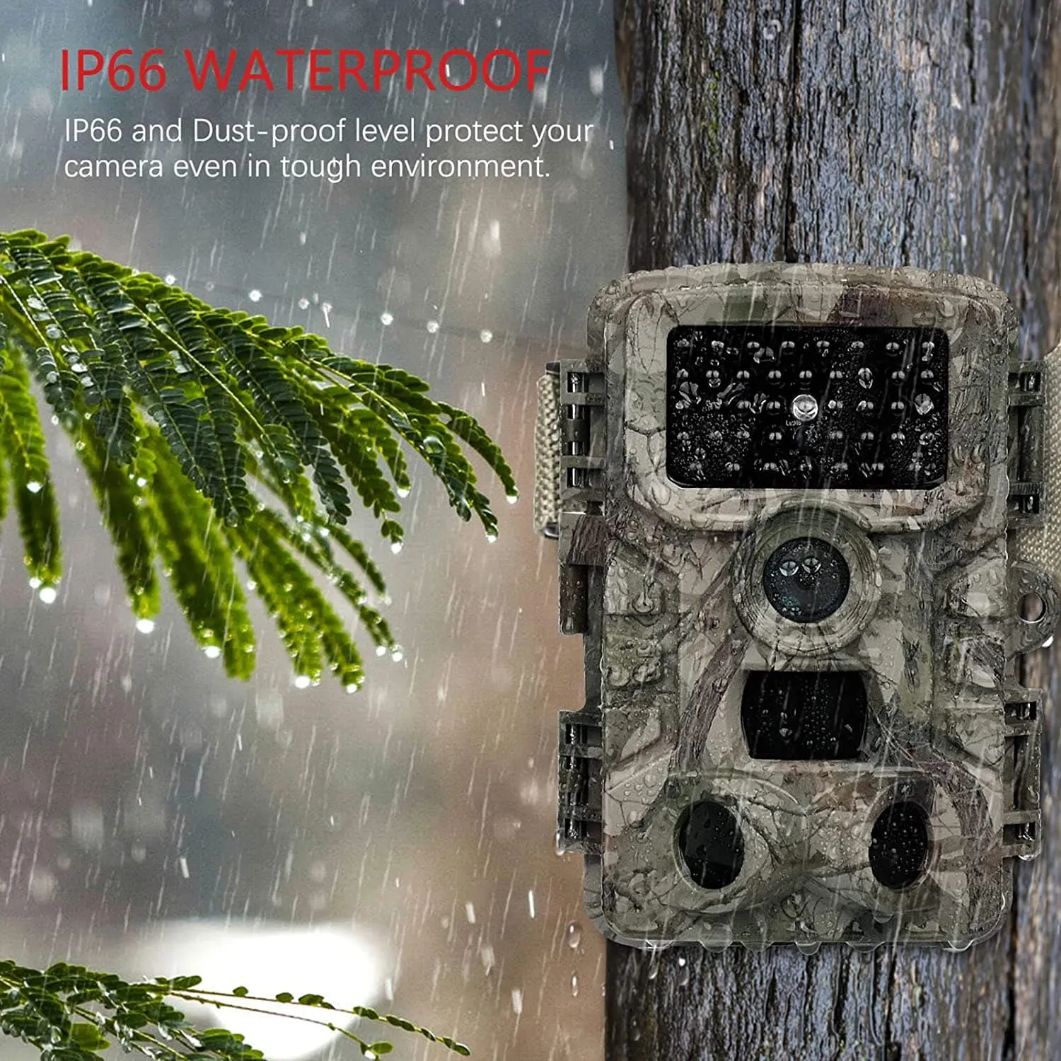Vanbar D500 Trail Wildlife Camera 20MP - Forest Camo