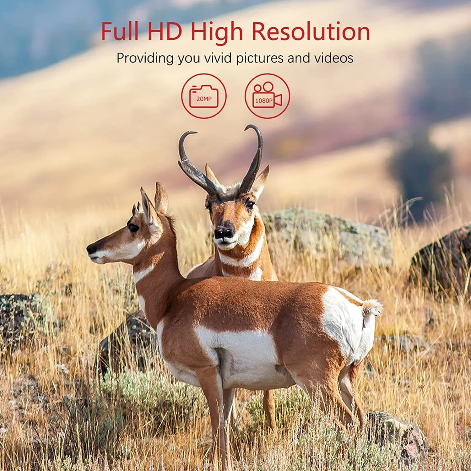 Vanbar D500 Trail Wildlife Camera 20MP - Forest Camo