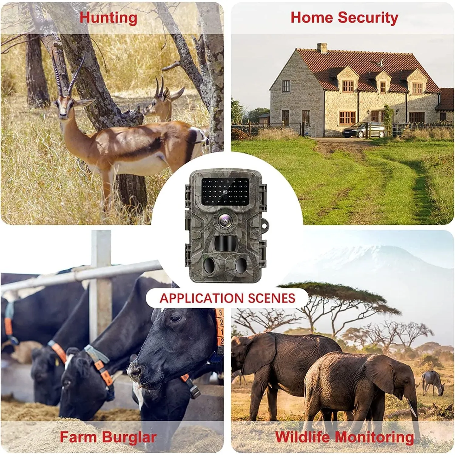 Vanbar D500 Trail Wildlife Camera 20MP - Forest Camo